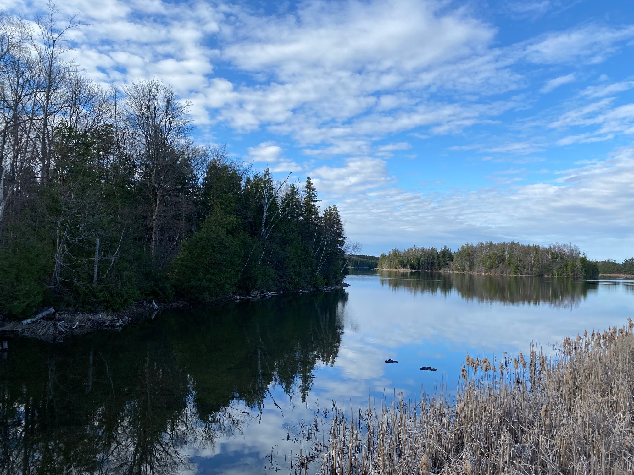 Island Lake Conservation Area
